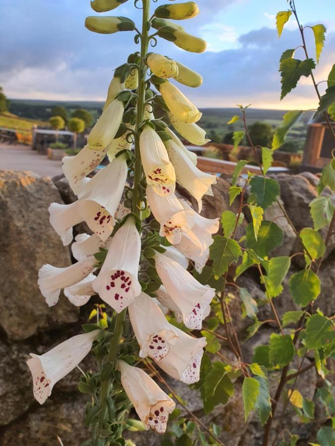 Howgill Farm Bolton Abbey Appletreewick Extérieur photo